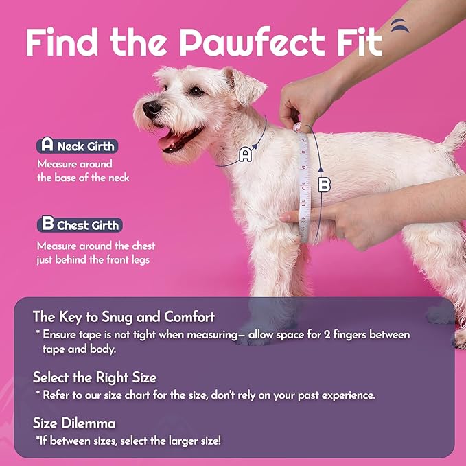 Eagloo Small Dog Harness and Leash Set, Step in Puppy Vest with Breathable Soft Mesh, Walking Reflective Pet Harness for Medium Small Dogs, Pink, L