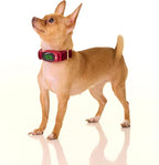 Dog Training Collar,Non-Shock Luxury Bark Collar-Adjustable Fit, No Shock for Small,Medium,Large Dogs, Advanced Technology with Remote, Automatic Bark Collar, Rechargeable, Anti-Barking,Red