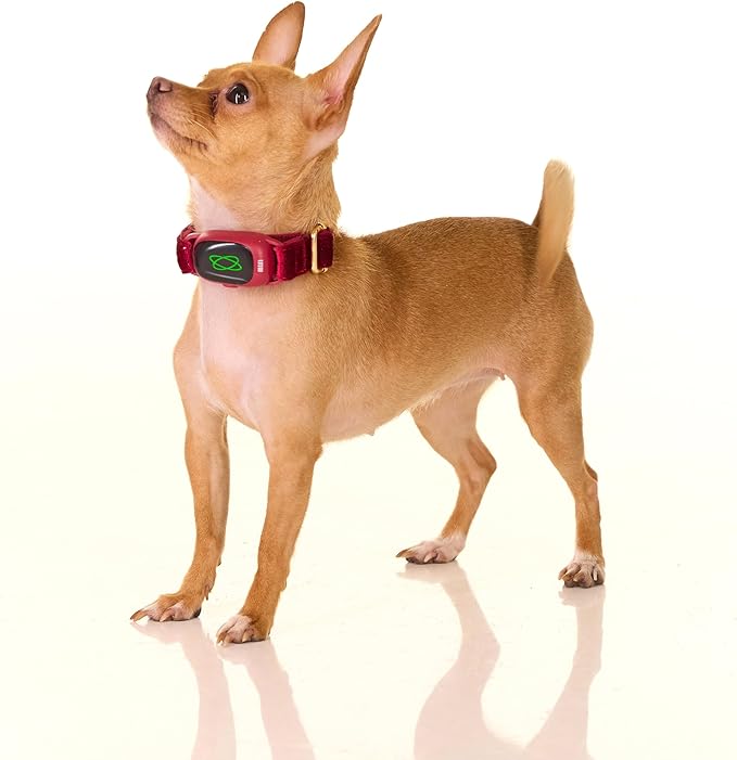 Dog Training Collar,Non-Shock Luxury Bark Collar-Adjustable Fit, No Shock for Small,Medium,Large Dogs, Advanced Technology with Remote, Automatic Bark Collar, Rechargeable, Anti-Barking,Red