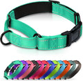 Martingale Collar for Dogs with Quick Release Buckle, Reflective Soft Padded & Escape Proof, Adjustable Nylon Dog Collars for Training & Daily Walking (Turquoise,M)