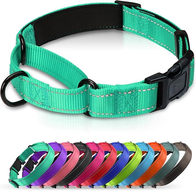 Martingale Collar for Dogs with Quick Release Buckle, Reflective Soft Padded & Escape Proof, Adjustable Nylon Dog Collars for Training & Daily Walking (Turquoise,M)