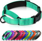 Martingale Collar for Dogs with Quick Release Buckle, Reflective Soft Padded & Escape Proof, Adjustable Nylon Dog Collars for Training & Daily Walking (Turquoise,XS)