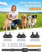 2-in-1 Dog Shock & Bark Collar with Remote – 4500FT Anti-Barking E Collars for Dog Training, IP67 Waterproof for Small Medium Large Breed (8-120Lbs)