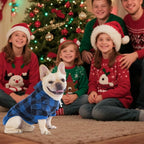KOOLTAIL Plaid Dog Hoodie Pet Clothes Sweater with Hat and Pocket for Small Medium Large Size Dogs, Soft Winter Warm Dog Cold Weather Coat, Fleece Fall Dog Hooded Sweatshirt for Puppy Cats, Blue M