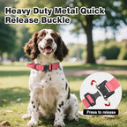 Joytale Tactical Dog Collar for Medium Dogs with Control Handle, Heavy Duty Military Training Collar for Power Breeds, AirTag Holder Case, Quick Release Metal Buckle, Soft Padded, M, Pink