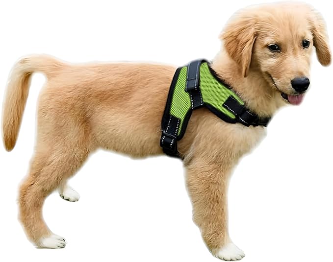 No Pull Reflective Adjustable Dog Harness With Handle- Comfortable Soft All Weather Mesh, Easy On Puppy Harness For Small Medium and Large Dogs (Green) Medium