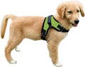 No Pull Reflective Adjustable Dog Harness with Handle- Comfortable Soft All Weather Mesh, Easy On Puppy Harness for Small Medium and Large Dogs (Green) X-Small