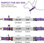 Martingale Collars,Reflective Dog Collar,Side Release Buckle,Adjustable Chain Training Pet Collars (Purple, M,Neck 13"-20")