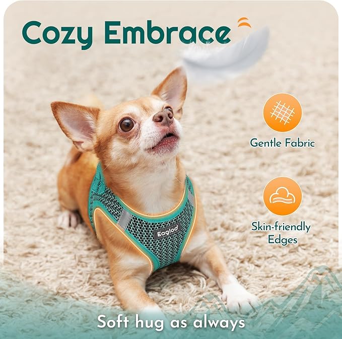 Eagloo Small Dog Harness and Leash Set, Step in Puppy Vest with Breathable Soft Mesh, Walking Reflective Pet Harness for Small Dogs, Forest Green, S
