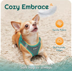 Eagloo Small Dog Harness and Leash Set, Step in Puppy Vest with Breathable Soft Mesh, Walking Reflective Pet Harness for Small Dogs, Forest Green, XS