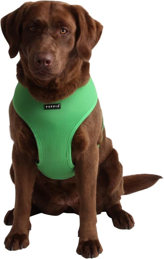 Puppia Soft Dog Harness No Choke Over-The-Head Triple Layered Breathable Mesh Adjustable Chest Belt and Quick-Release Buckle, Green, X-Large