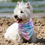 KYEESE 2Pack Dog Cooling Bandana, Breathable Cooling Bandanas for Small Medium Large Dogs, Neck Cooler Wraps for Summer Walking Outdoor, Purple+Blue