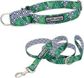 Lucky Love Dog Martingale Collar and Leash Set, Premium No Slip Martingale Collar for Medium Boy Dogs, Great for Whippets, Greyhounds, and More (Medium, Blue Laguna - Combo)
