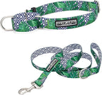 Lucky Love Dog Martingale Collar and Leash Set, Premium No Slip Martingale Collar for Medium Boy Dogs, Great for Whippets, Greyhounds, and More (Medium, Blue Laguna - Combo)