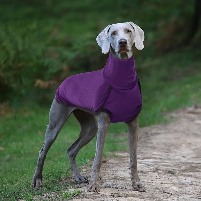 ROZKITCH Dog Pajamas for Small Dogs, Pet Windproof Warm Cold Weather Jacket Vest Cozy Jumpsuit Apparel Outfit Clothes for Walking Hiking Travel Sleep Purple XS