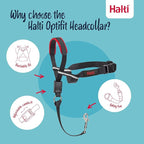 Halti Optifit Headcollar Size Medium & Halti Training Leash Size Large, Black Combination Pack - Stop Your Dog Pulling on the Leash. Adjustable with Padded Nose Band. Suitable for Medium Dogs