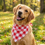 Dog Bandanas 1 Pack; Cotton Linen Red Bandana Checkered for Large Dogs; Soft Breathable Dog Accessories; Holiday Dog Apparel & Accessories