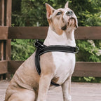 rabbitgoo Dog Harness No Pull, Quick Fit for Small Dogs with Soft Padded Handle, Chest Adjustable Reflective Pet Vest, No Choke Escape Proof for Walking Training, Black S