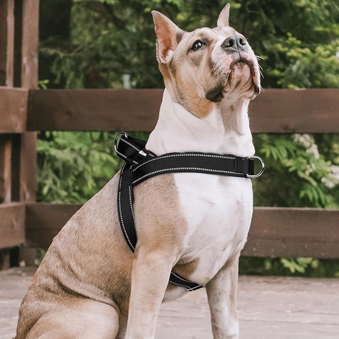 rabbitgoo Dog Harness No Pull, Quick Fit for Large Dogs with Soft Padded Handle, Chest Adjustable Reflective Pet Vest, No Choke Escape Proof for Walking Training, Black L