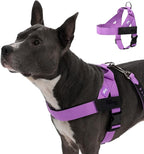 DF Co. Dog Harness | Chafe Resistant Webbing, Adjustable Neck & Chest, and Heavy Duty D-Ring | Sturdy, Comfortable, Easy to Use | Purple, Size L