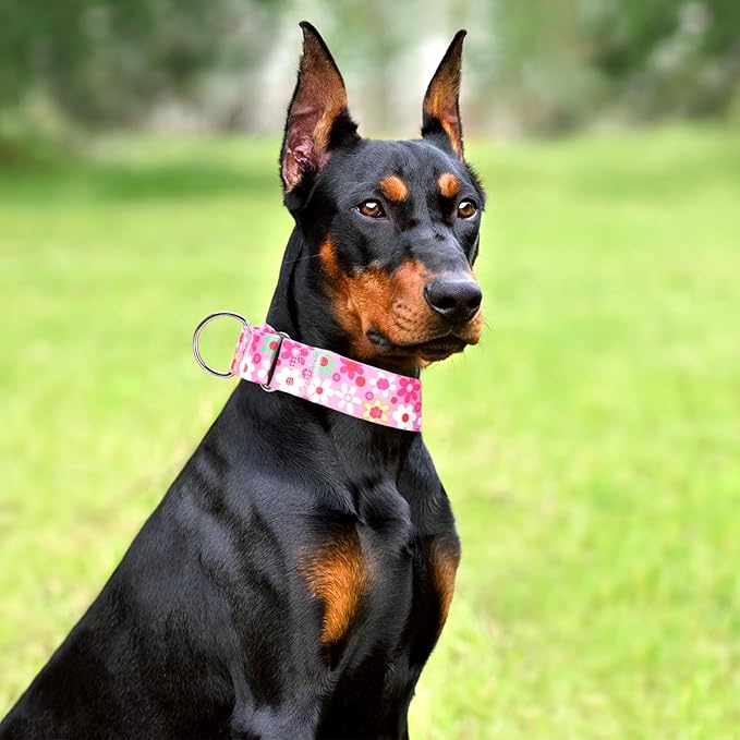 1.5 Inch Wide Martingale Dog Collar - No Pull Choke Cinch Escape Proof Training for Large Dogs, Soft Nylon Durable Collar for Walking, Running & Training for Large Breeds -Pink XL