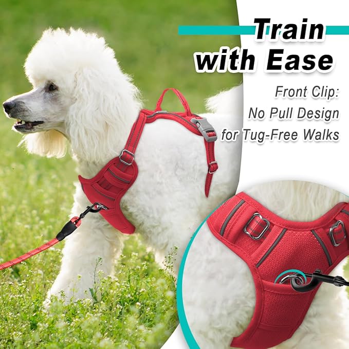 BARKBAY Dog Harness No Pull Mesh for Small Dogs - Adjustable, Reflective, Comfortable, No Choke, Heavy-Duty - Perfect for Outdoor Training, Walking, and Hiking - Strong & Durable - S & Red Mesh