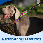 Kazazoo Martingale Collar for Dogs with Quick Release Buckle Adjustable Soft Durable Dog Collar for Small Medium Large No Pull Training Dog Collars-Rainbow L