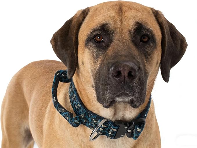 Heavy Duty Dog Collar with Unique Leopard Totem Design Adjustable Durable Nylon Collar, Metal Buckle for Large Dogs Bold Style for Training & Outdoor Adventures (Blue Leopard S)
