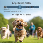 Jugbow Dog Training Collar for 3 Dogs – 4200FT Training Collars with Remote, Rechargeable IPX8 Waterproof E-Collars for Small, Medium & Large Dogs (5-120 lbs)
