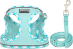 Mercano Soft Mesh Dog Harness and Leash Set, No-Chock Step-in Reflective Breathable Lightweight Easy Walk Vest Harnesses with Safety Buckle for Small Dogs, Cats (Light Blue, M)