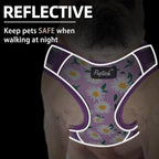 PUPTECK Small Dog Harness and Leash Set, No Pull Adjustable Puppy Cat Harness, Reflective Soft Mesh Pet Vest Small Sized, Daisy, S