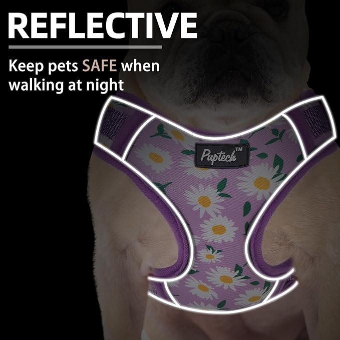 PUPTECK Small Dog Harness and Leash Set, No Pull Adjustable Puppy Cat Harness, Reflective Soft Mesh Pet Vest Small Sized, Daisy, S