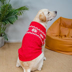 Warm Winter Dog Sweater - Cold Weather Pet Clothes for Small Medium Large Dogs Indoor Outdoor, Soft Classic Knit Puppy Apparel