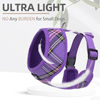 PUPTECK Soft Mesh Dog Harness and Leash Set Pet Puppy Cat Comfort Padded Vest No Pull Harnesses, Purple, S