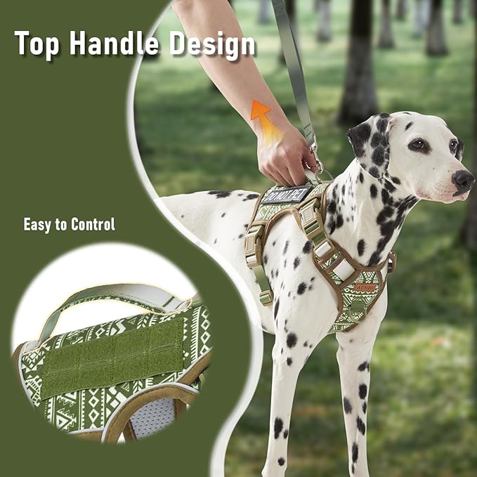 No-Pull Dog Harness for Small Dog Breeds, Escapeproof Easy Walking Reflective Adjustable Lightweight Dog Vest with Breathable Oxford Material, Easy on Easy Off with Neck Buckle, Green Ethnic XS