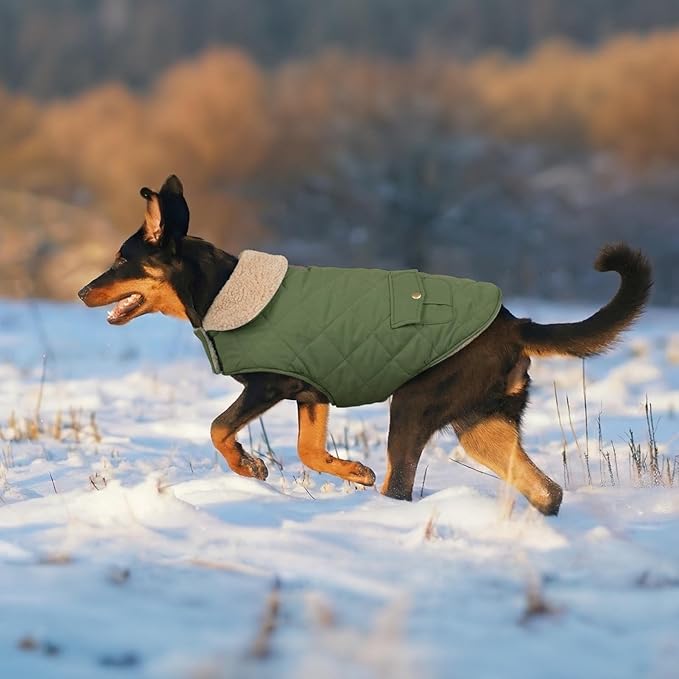 Dog Winter Jacket for Extra-Large Dogs, Pet Windproof Cold Weather Coats, Pets Clothes Snow Jacket, Golden Retriever, Labrador Retriever, Husky, Army Green XL