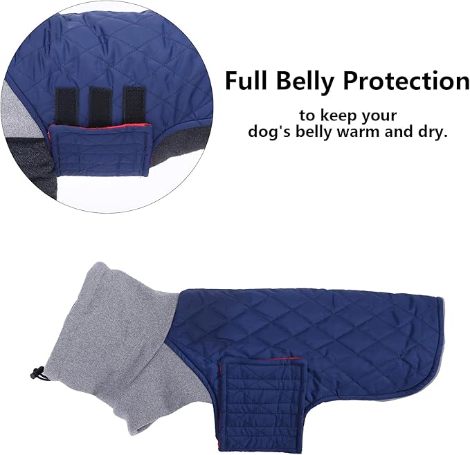 Geyecete Dachshund Coat,Dachshund Winter Coat,Warm Waterproof Windproof, High Neckine String Holes Miniature Dachshund Jacket for Small Dog-Navy-L