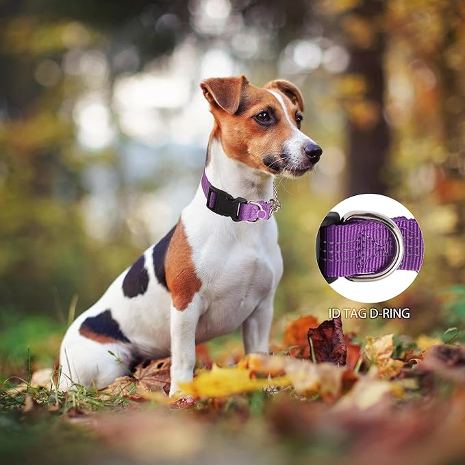 Martingale Dog Collar with Quick Release Buckle Steel Chain No Pull Training Reflective Collar for Medium Large Dogs(Purple, Large)