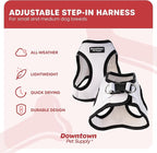 Downtown Pet Supply Step in Dog Harness for Small Dogs No Pull, Medium, Doodle - Adjustable Harness with Padded Mesh Fabric and Reflective Trim - Buckle Strap Harness for Dogs