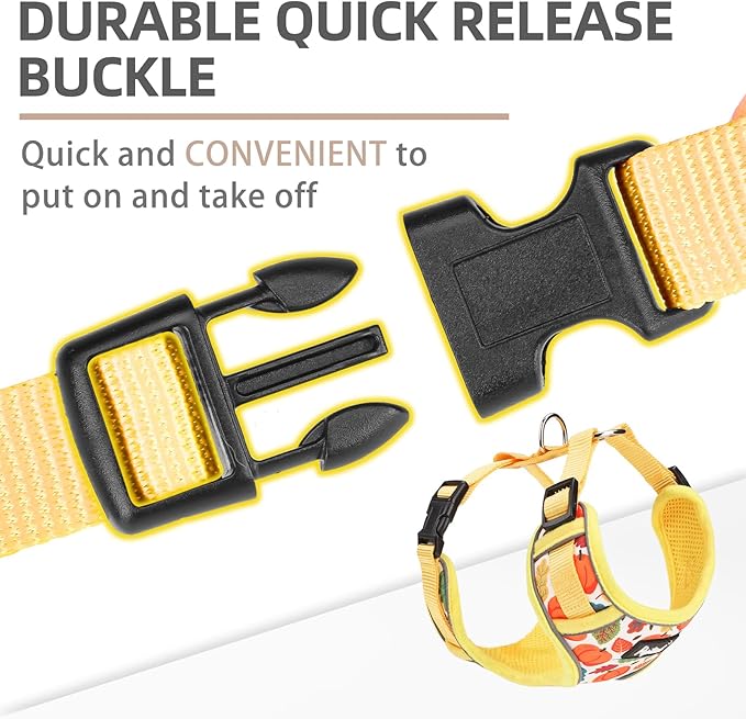 PUPTECK Thanksgiving Fall Small Dog Harness and Leash Set, No Pull Adjustable Puppy Cat Harness, Reflective Soft Mesh Pet Vest Small Sized, Leaves, M