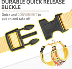 PUPTECK Thanksgiving Fall Small Dog Harness and Leash Set, No Pull Adjustable Puppy Cat Harness, Reflective Soft Mesh Pet Vest Small Sized, Leaves, S