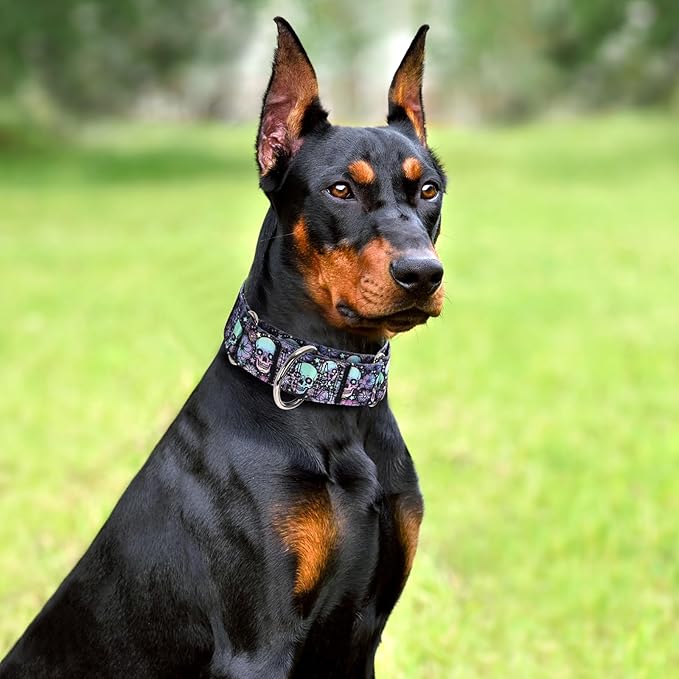 1.5 inch Skulls Martingale Collar for Dogs, Wide,Big&Thick Dog Collar，Heavy-Duty Training Collar for Medium Large Extra Large Dogs- Skulls M