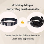ADITYNA Leather Dog Collar with Metal Buckle - Heavy-Duty, Adjustable for Medium & Large Dogs - Walking, Training, Tactical (Black, Fits 15-21" Necks)
