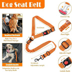 No Pull Dog Harness, Collar & Leash Set | Includes Dog Seat Belt, Collapsible Bowls & Poop Bag Dispenser. Ideal for Training, Walking, Hiking. Fits Small to Large Dogs(Orange-S)