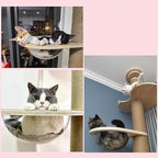 Cat Tree Transparent Spaceship Hammock Accessory Free Standing Cat Stand Accessory Modern Activity Cat Stand Space Ship