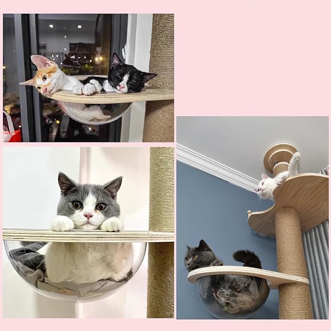 Cat Tree Transparent Spaceship Hammock Accessory Free Standing Cat Stand Accessory Modern Activity Cat Stand Space Ship