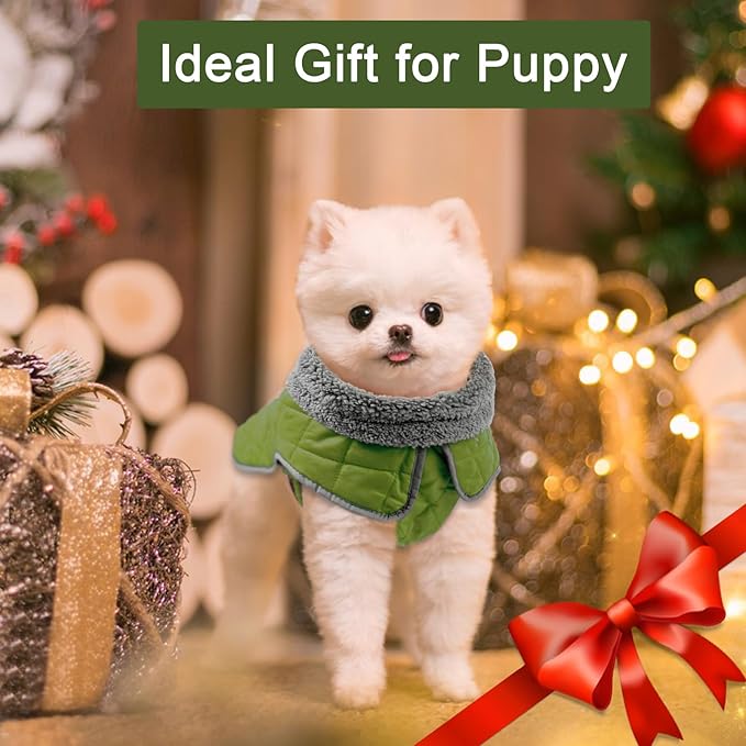 Fragralley Dog Winter Coat, Waterproof Windproof Reflective Fleece Jacket with Harness Hole, Warm Snow Vest for Small Medium Large Dogs, Ideal Gifts
