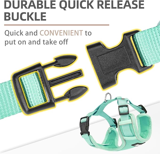 PUPTECK Small Dog Harness and Leash Set, No Pull Adjustable Puppy Cat Harness, Reflective Soft Mesh Pet Vest Small Sized, Green, S