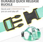 PUPTECK Small Dog Harness and Leash Set, No Pull Adjustable Puppy Cat Harness, Reflective Soft Mesh Pet Vest Small Sized, Green, M