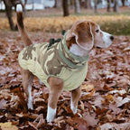 Lelepet Warm Dog Winter Coat Dog Coats for Small Dogs Waterproof Dogs Jacket with Harness Built in Reflective Cold Weather Coats Windproof Zip-Up Winter Fleece Vest Snowsuit Chihuahua Desert Camo